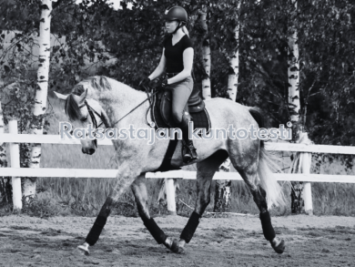 Ratsastajan kuntotesti + Oheisharjoitteluohjelma